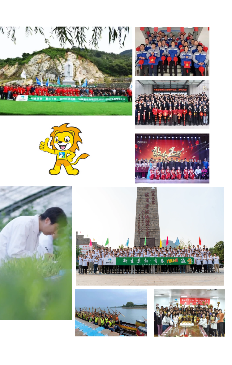 12.png